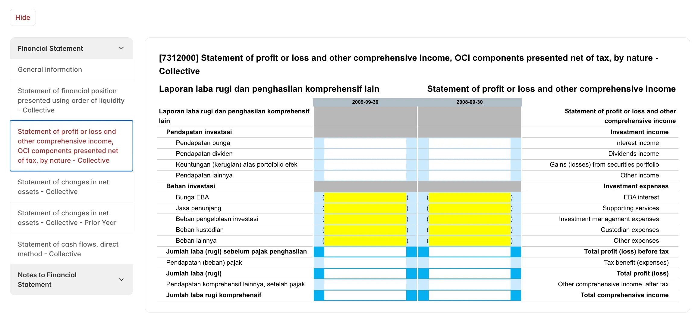The injected financial statement form — a left-hand nav of statement sections and an HTML table of profit-and-loss rows with editable cells.