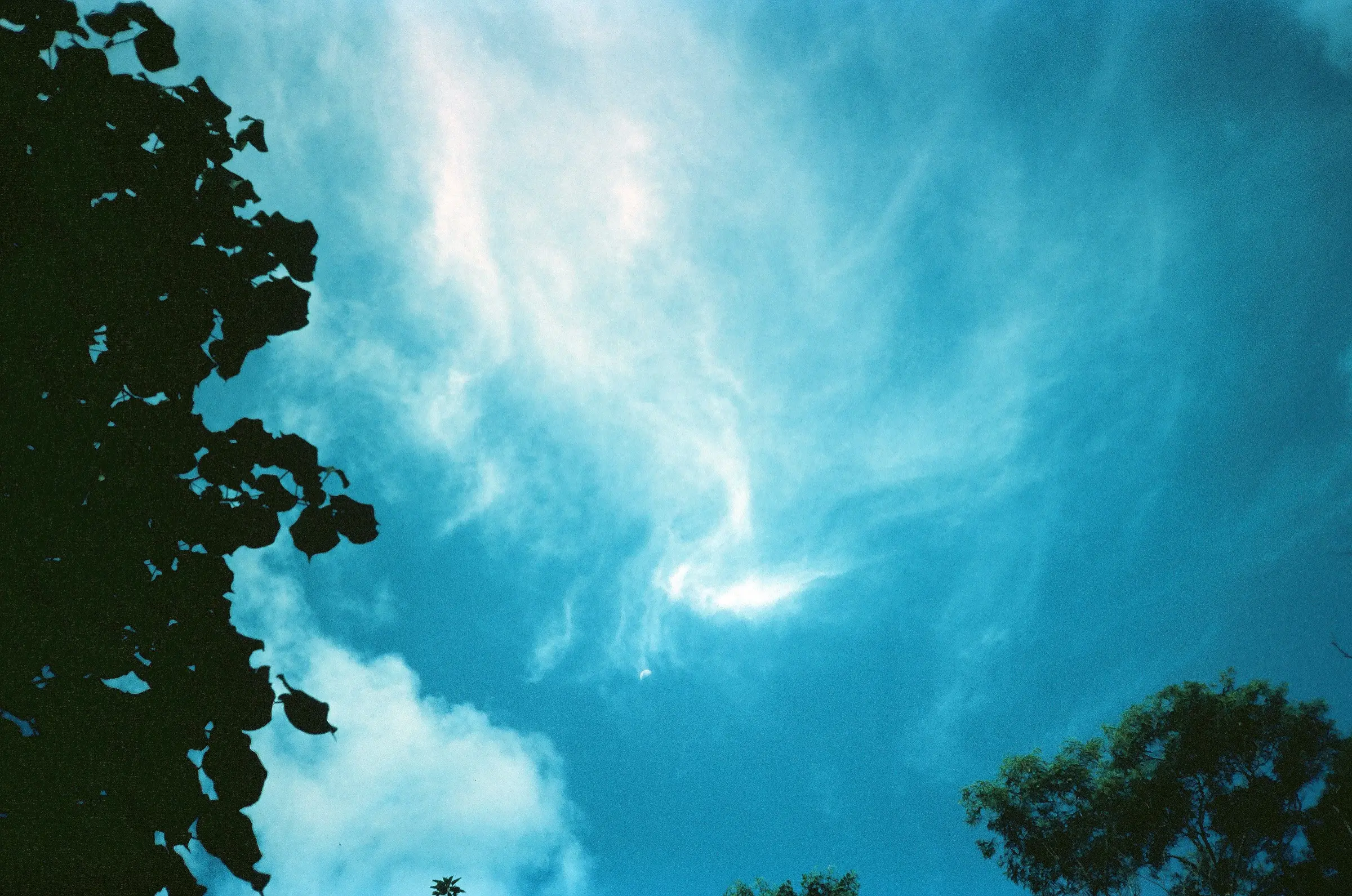 Dramatic clouds through tree silhouettes