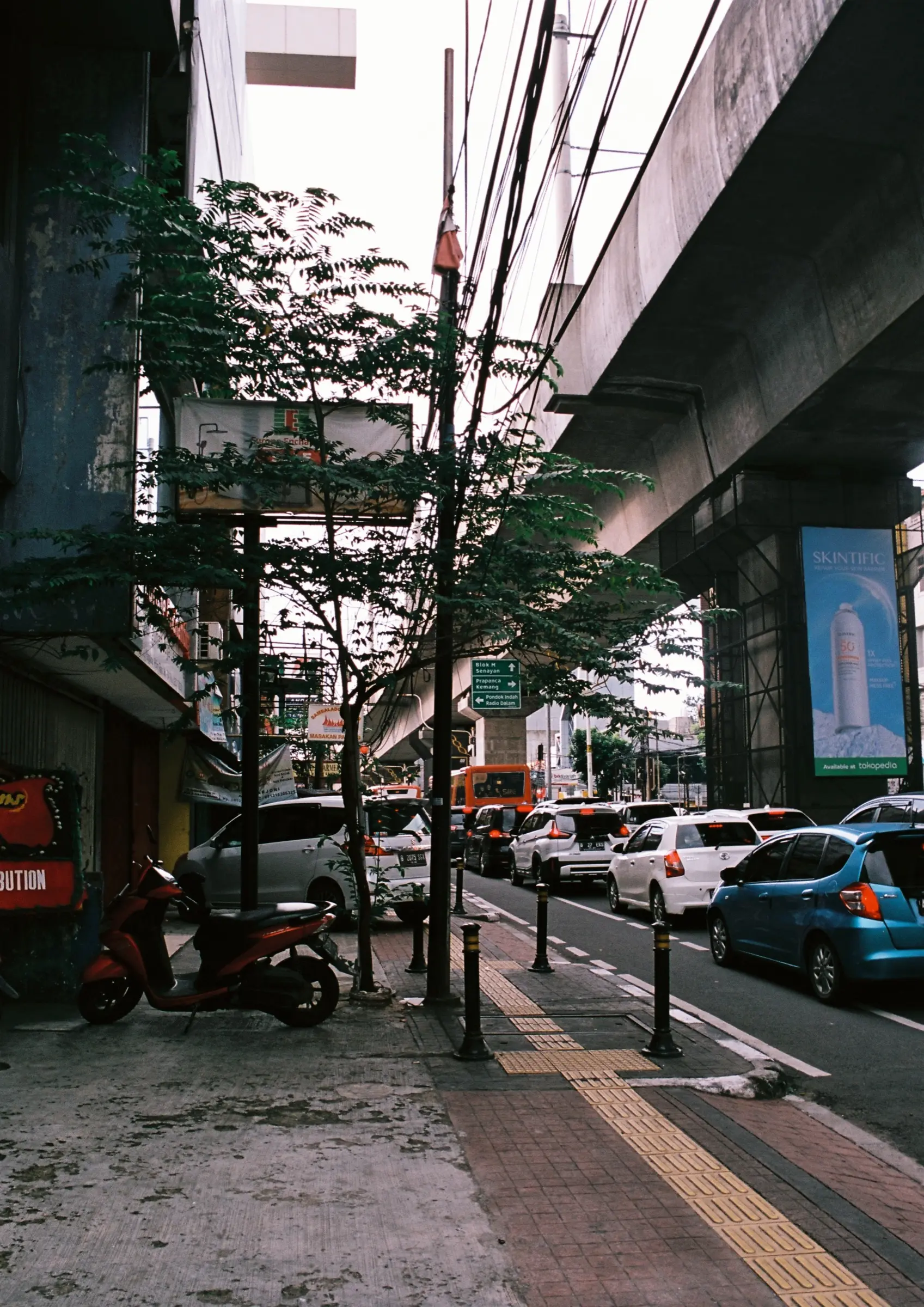 Urban alley with hanging vines